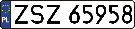 ZSZ65958