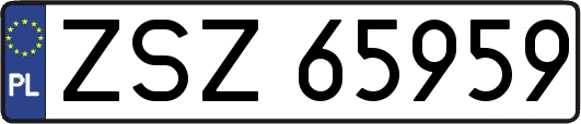 ZSZ65959