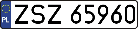 ZSZ65960
