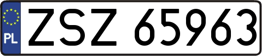ZSZ65963