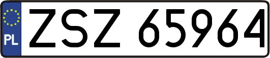 ZSZ65964