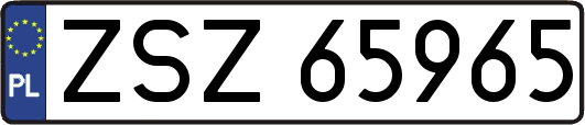 ZSZ65965