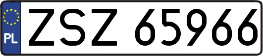 ZSZ65966