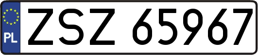 ZSZ65967