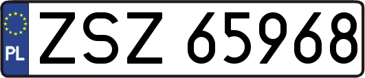 ZSZ65968