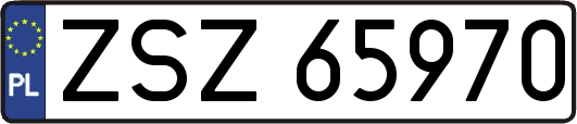 ZSZ65970
