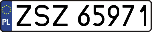 ZSZ65971