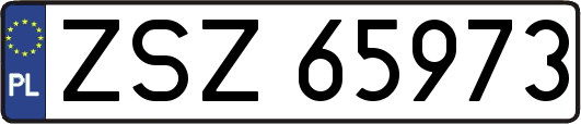 ZSZ65973