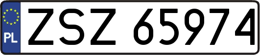 ZSZ65974