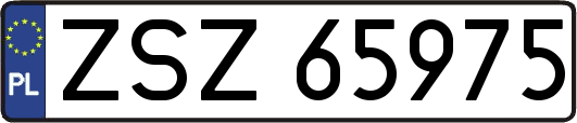 ZSZ65975