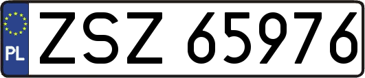 ZSZ65976