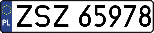 ZSZ65978