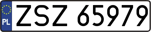 ZSZ65979