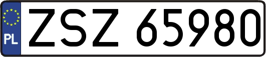 ZSZ65980