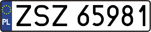 ZSZ65981
