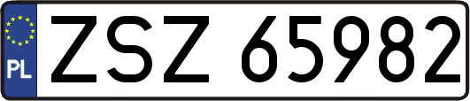 ZSZ65982