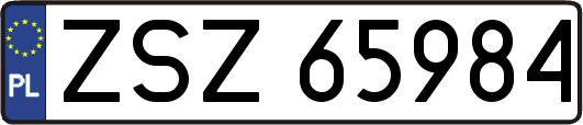 ZSZ65984