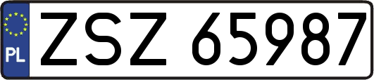 ZSZ65987