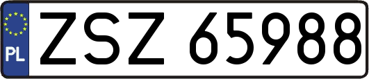 ZSZ65988