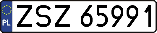 ZSZ65991