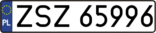 ZSZ65996