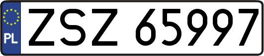 ZSZ65997