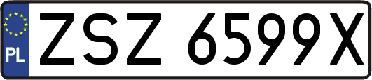 ZSZ6599X