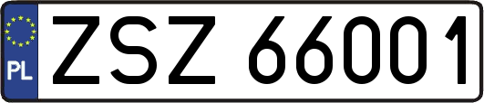 ZSZ66001