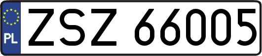 ZSZ66005