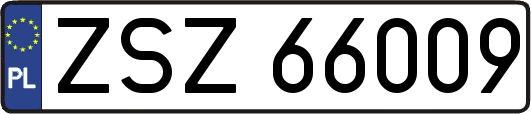 ZSZ66009