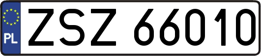 ZSZ66010