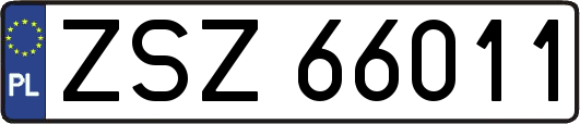ZSZ66011