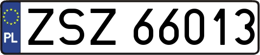 ZSZ66013