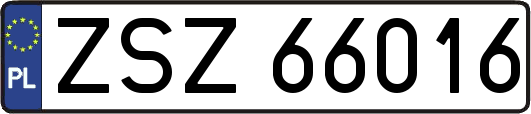 ZSZ66016
