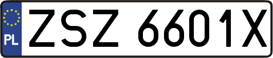 ZSZ6601X