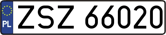 ZSZ66020