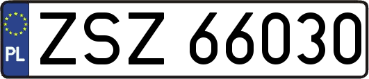 ZSZ66030