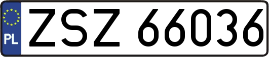 ZSZ66036