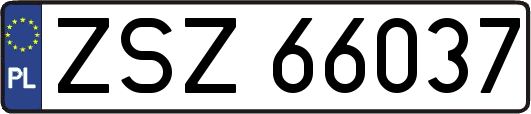ZSZ66037
