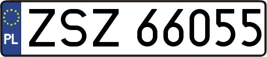 ZSZ66055