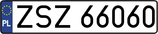 ZSZ66060
