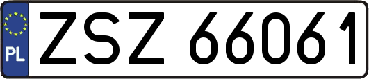 ZSZ66061