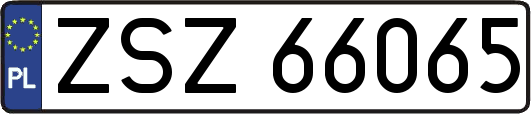 ZSZ66065