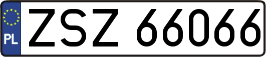 ZSZ66066