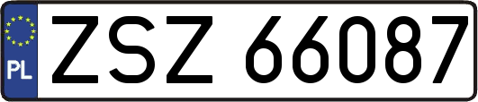 ZSZ66087