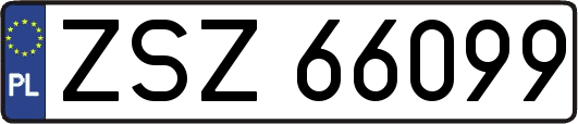 ZSZ66099