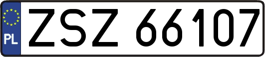 ZSZ66107