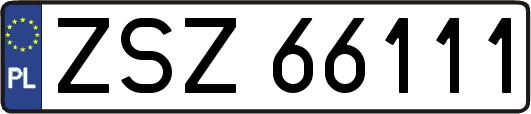 ZSZ66111