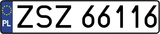 ZSZ66116