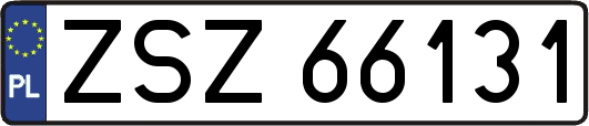 ZSZ66131